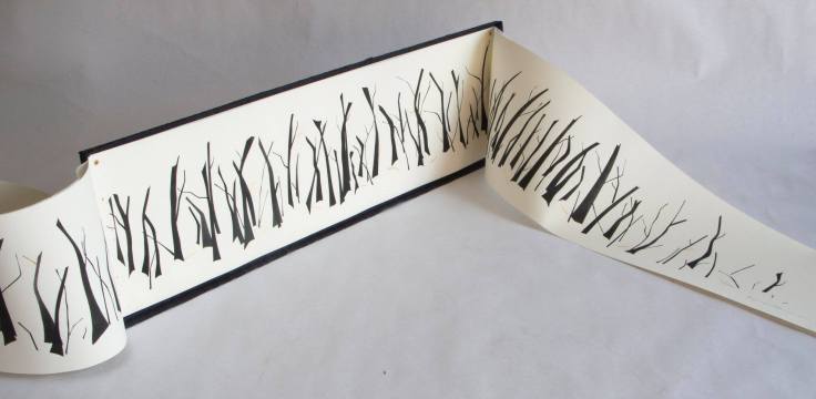 10988469_846012752118775_8280277669181834780_o